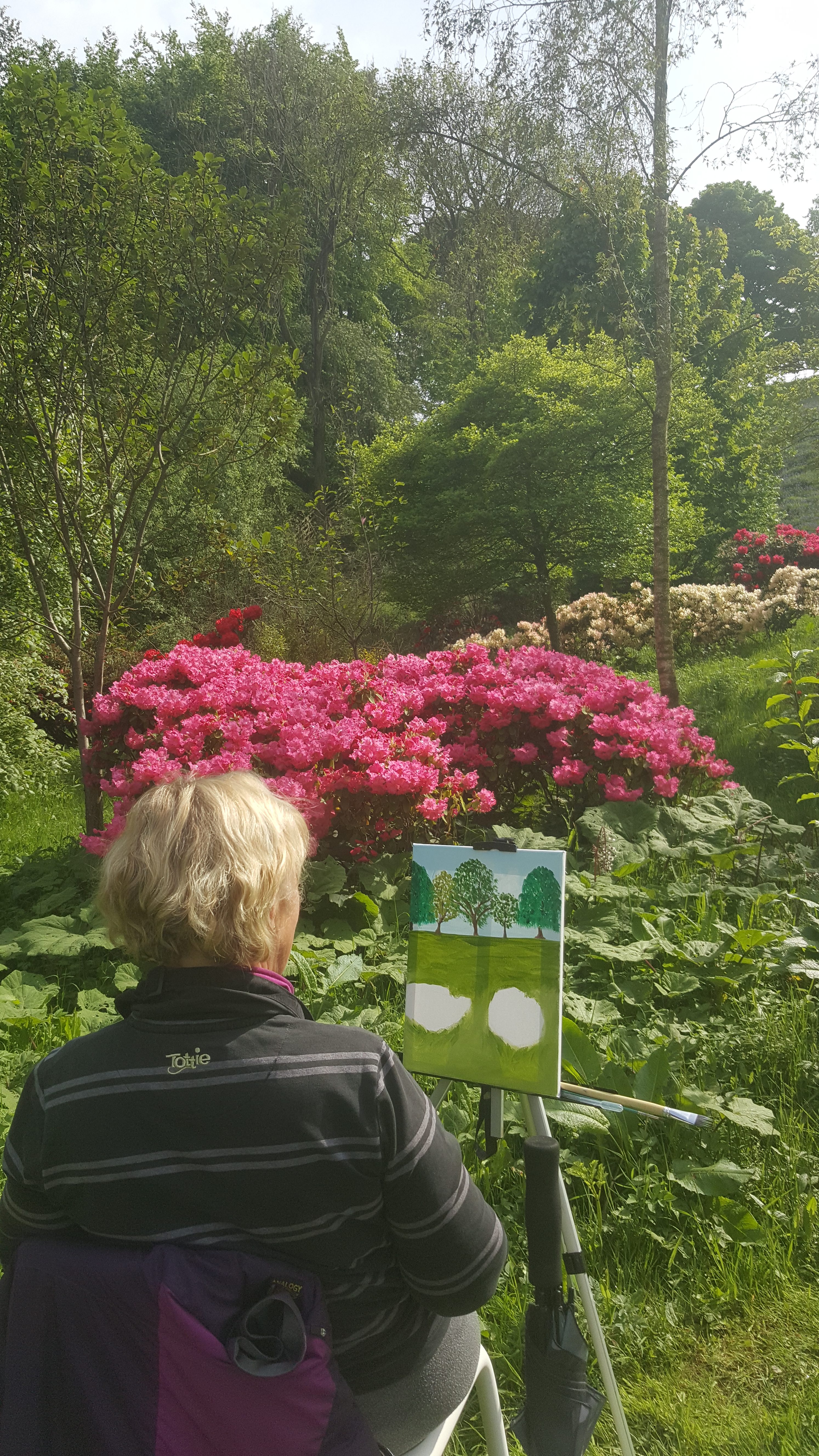 'Paint a Garden Landscape in oils' at the Himalayan Gardens Grewelthorpe Friday 16th May 2025